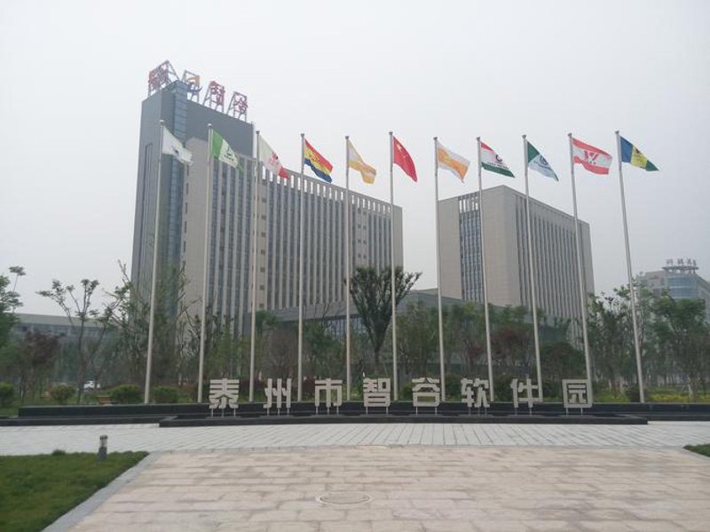 泰州软件开发行业动态：机遇与挑战并存